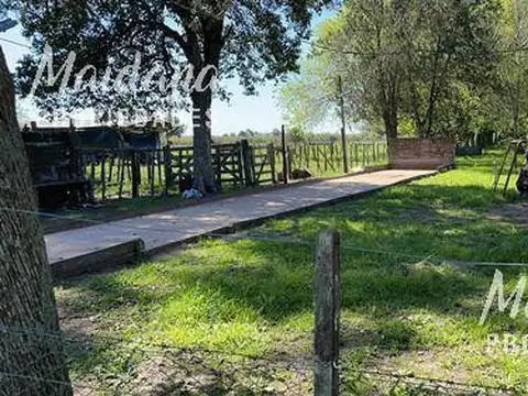 Campo en Venta en Gualeguaychu, Gualeguaychú