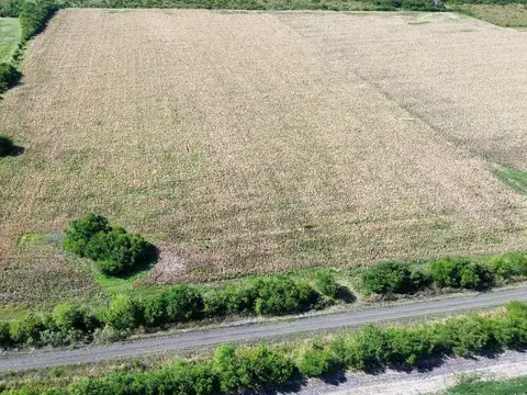 Campo en Venta en Concepcion del Uruguay, Uruguay