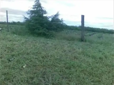 Campo en Venta en Concordia, Entre Ríos