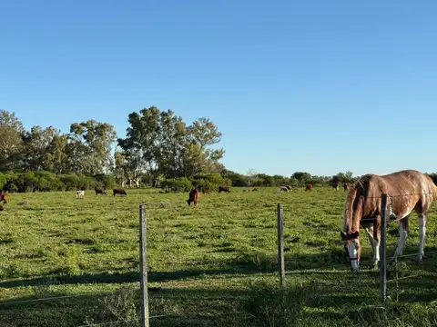 Campo en Venta en Pueblo General Belgrano, Gualeguaychú