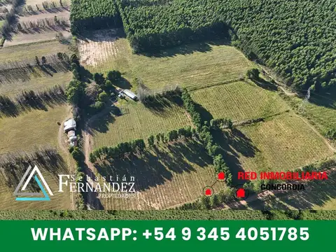 Campo en Venta en Concordia, Entre Ríos