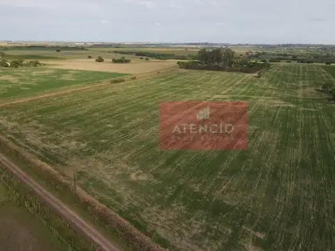 Campo en Venta en Antelo, Victoria