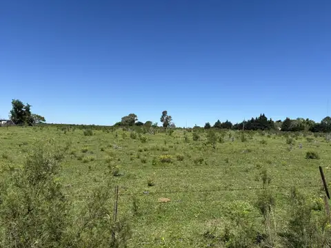 Campo en Venta en Gualeguaychu, Gualeguaychú