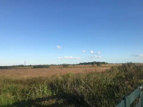 Campo en Venta en Rosario del Tala, Tala