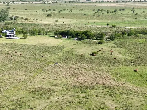 Campo en Venta en Concepcion del Uruguay, Uruguay