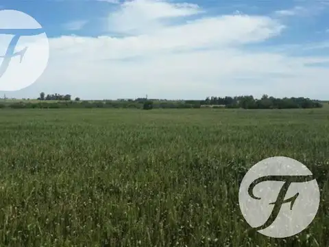 Campo en Venta en Parana, Paraná