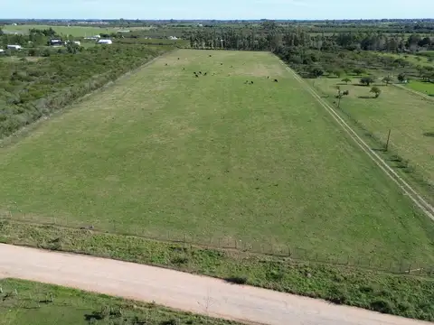 Campo en Venta en Ejido Colon, Colón