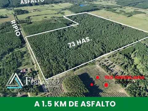 Campo en Venta en Concordia, Entre Ríos