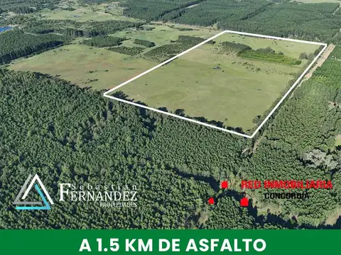 Campo en Venta en Concordia, Entre Ríos