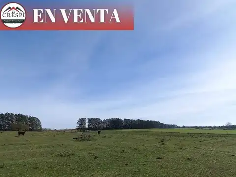 Campo en Venta en Puerto Yerua, Concordia