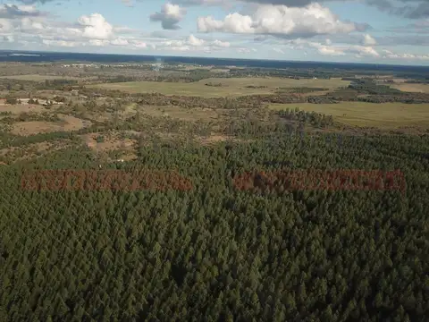 Campo en Venta en Concordia, Entre Ríos