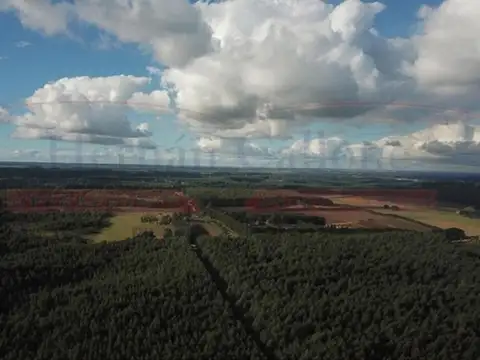 Campo en Venta en Concordia, Entre Ríos