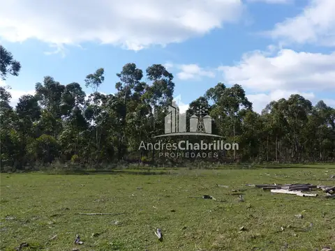 Campo en Venta en Federacion, Federación