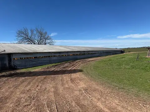 Campo en Venta en Concepcion del Uruguay, Uruguay