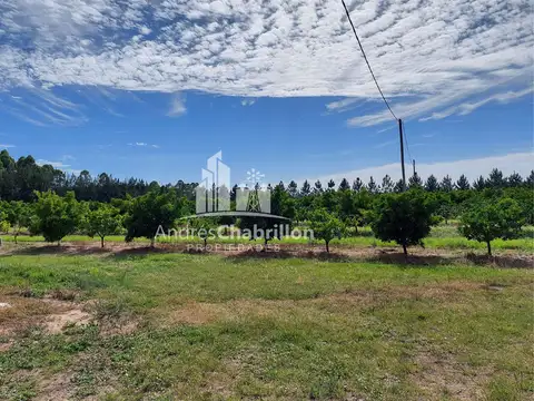 Campo en Venta en Concordia, Entre Ríos