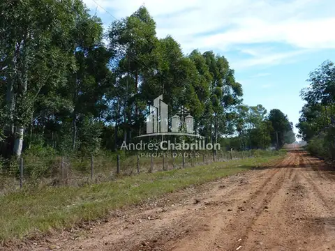 Campo en Venta en La Criolla, Concordia