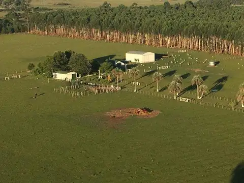 Campo en Venta en Concordia, Entre Ríos