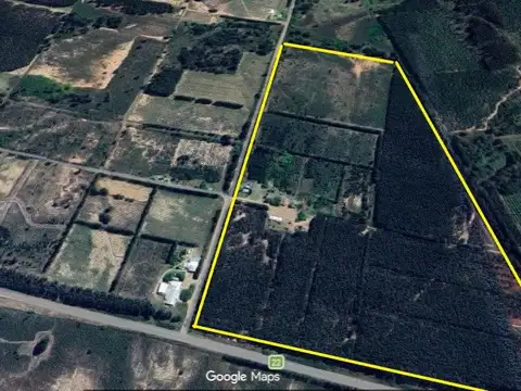 Campo en Venta en Yuqueri, Concordia