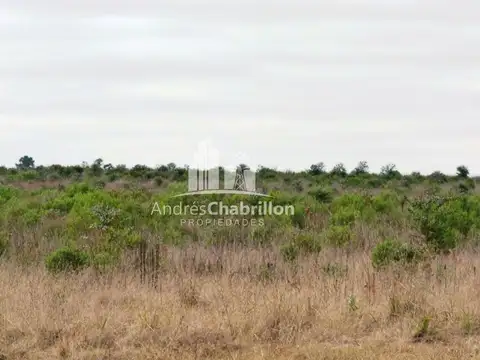 Campo en Venta en Puerto Yerua, Concordia