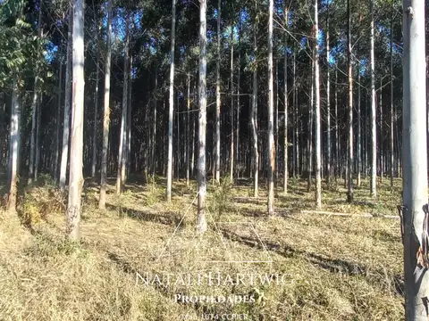 Campo en Venta en Concordia, Entre Ríos