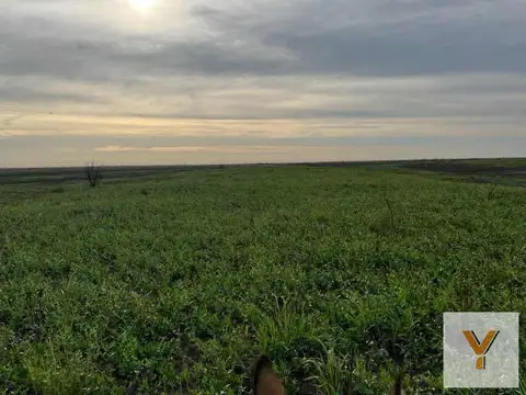 Campo en Venta en Victoria, Entre Ríos