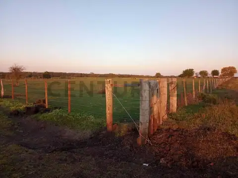 Campo en Venta en Lucas Norte, Villaguay