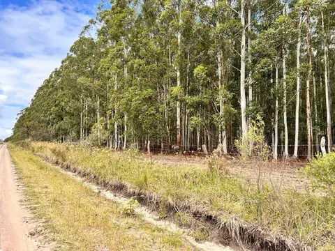 Campo en Venta en Pedernal, Concordia