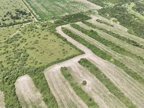 Campo en Venta en San José de Feliciano, Feliciano