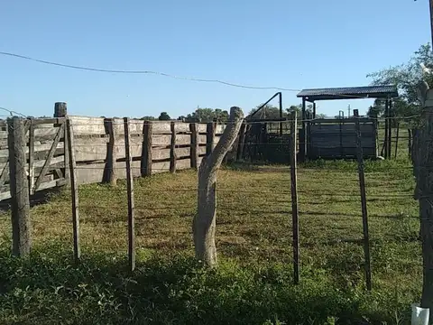 Campo en Venta en Nogoya, Nogoyá