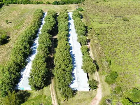 Campo en Venta en Concepcion del Uruguay, Uruguay