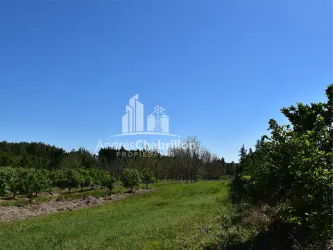 Campo en Venta en Concordia, Entre Ríos