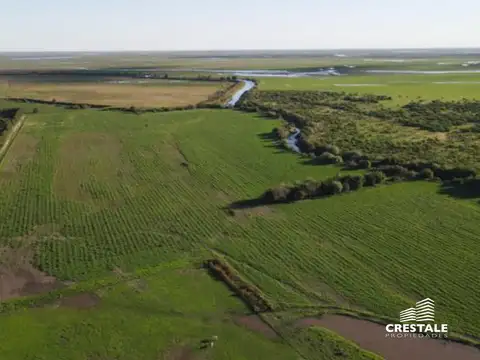 Campo en Venta en Victoria, Entre Ríos