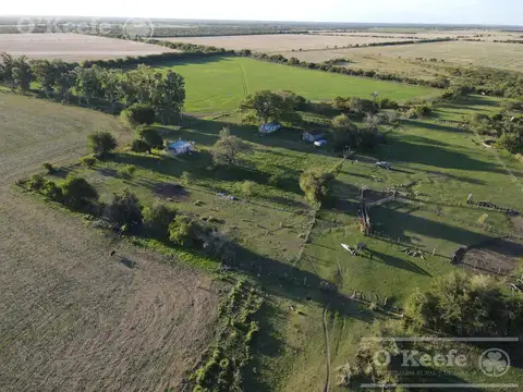 Campo en Venta en Maria Grande Primera, Paraná