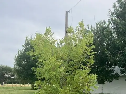 Campo en Venta en Banderas, Federal