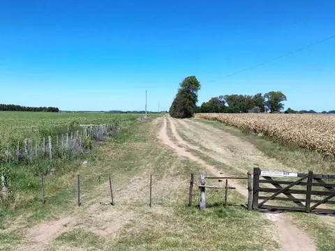 Campo en Venta en Gualeguaychu, Gualeguaychú