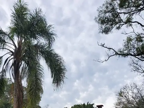 Campo en Venta en Nogoya, Nogoyá