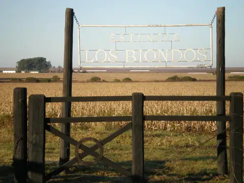 Campo en Venta en Villa Lila, Gualeguaychú