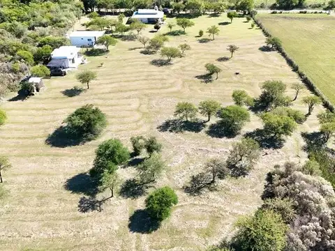 Quinta en Venta en Colon, Colón