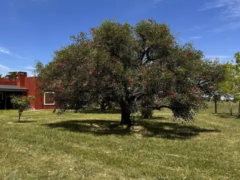Quinta en Venta en Colon, Colón
