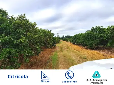Quinta en Venta en Concordia, Entre Ríos