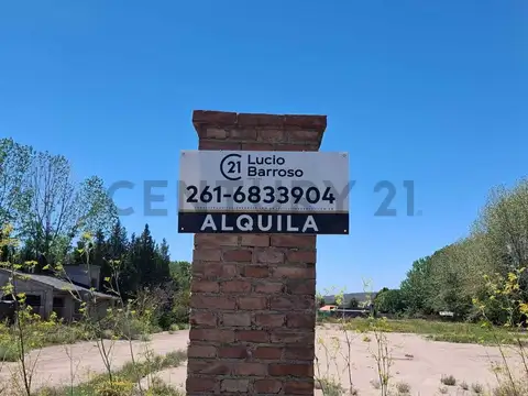 Terreno en Alquiler en Perdriel, Luján de Cuyo