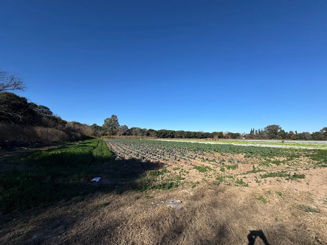 CAMPO 9 Ha CON ACCESO ASAFALTO  SOBRE CNO SANTA ROSA CAPDEVILLA REC DPTO