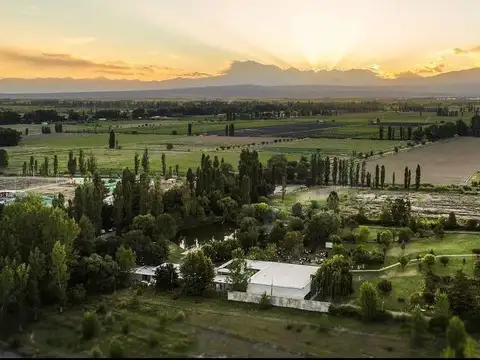 Local en Venta en Perdriel, Luján de Cuyo