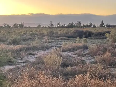 Terreno en Venta en Capitán Montoya, San Rafael