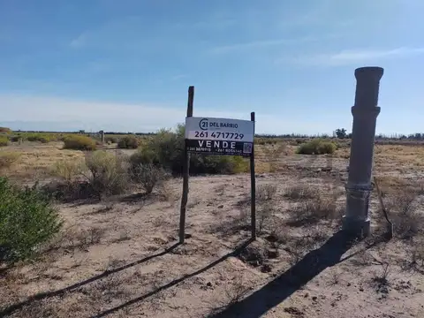 Terreno en Venta en Rivadavia, Mendoza