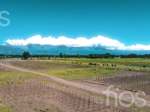 Terreno en Venta en El Cepillo, San Carlos