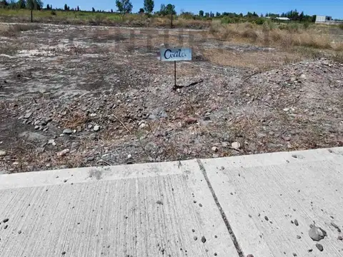 Terreno en Venta en Rivadavia, Mendoza