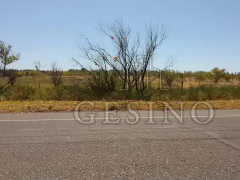Terreno en Venta en General Alvear, Mendoza