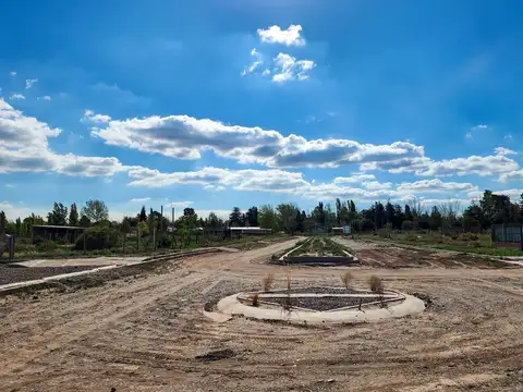 Terreno en Venta en El Carrizal, Luján de Cuyo