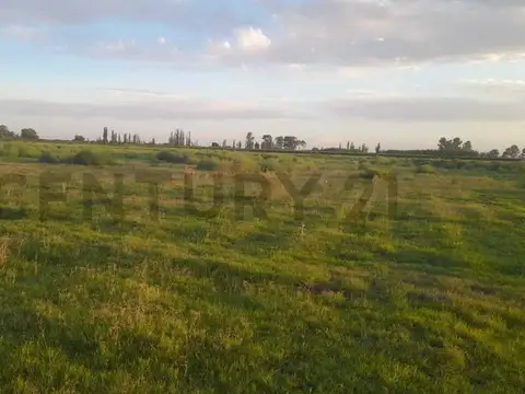 Terreno en Venta en San Rafael, Mendoza